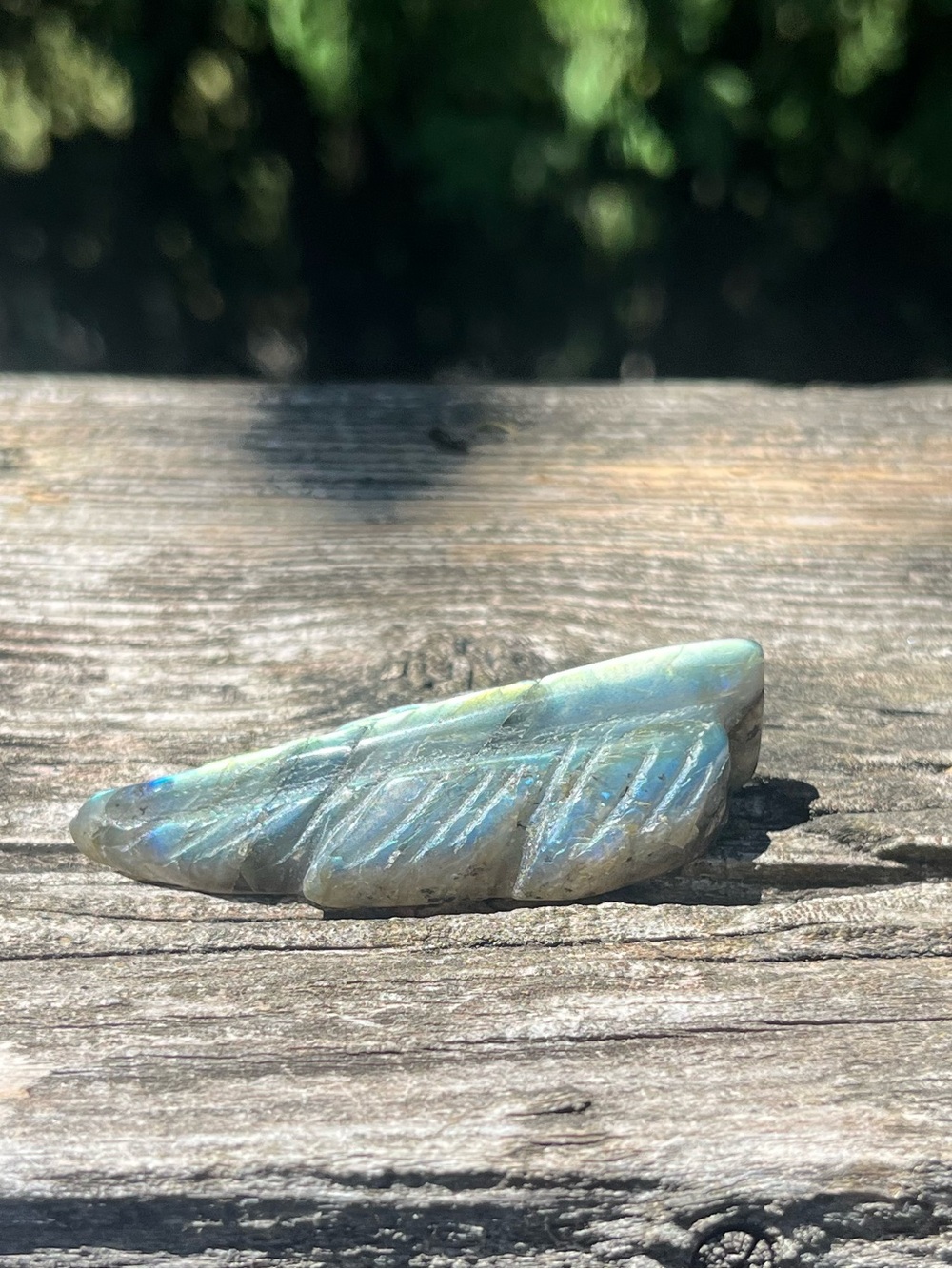 Labradorite Feather - Picture 3 of 4